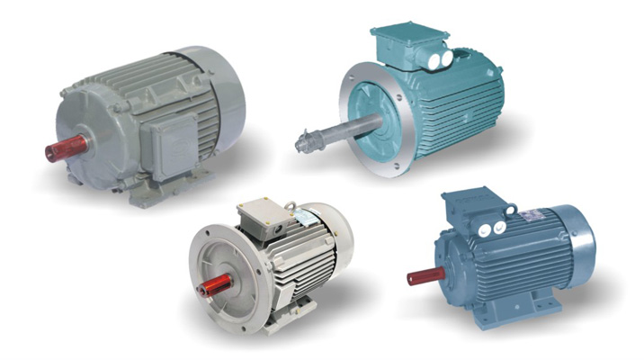 Squirrel Cage Induction Motors -Three Phase